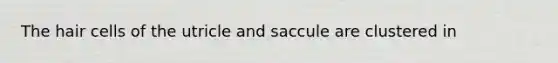 The hair cells of the utricle and saccule are clustered in