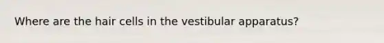 Where are the hair cells in the vestibular apparatus?