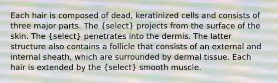 Each hair is composed of dead, keratinized cells and consists of three major parts. The (select) projects from the surface of the skin. The (select) penetrates into the dermis. The latter structure also contains a follicle that consists of an external and internal sheath, which are surrounded by dermal tissue. Each hair is extended by the (select) smooth muscle.