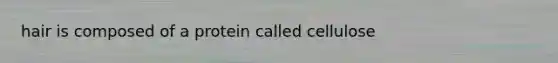 hair is composed of a protein called cellulose