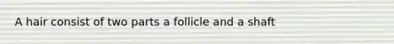 A hair consist of two parts a follicle and a shaft