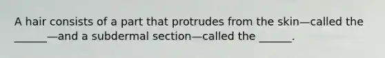 A hair consists of a part that protrudes from the skin—called the ______—and a subdermal section—called the ______.