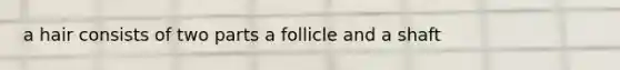 a hair consists of two parts a follicle and a shaft