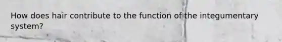 How does hair contribute to the function of the integumentary system?