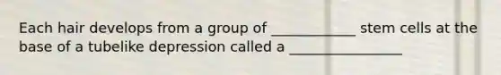 Each hair develops from a group of ____________ stem cells at the base of a tubelike depression called a ________________