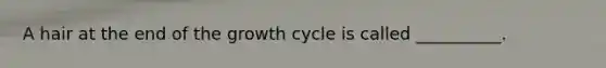 A hair at the end of the growth cycle is called __________.