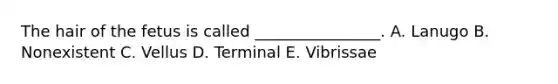 The hair of the fetus is called ________________. A. Lanugo B. Nonexistent C. Vellus D. Terminal E. Vibrissae