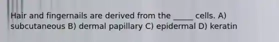 Hair and fingernails are derived from the _____ cells. A) subcutaneous B) dermal papillary C) epidermal D) keratin