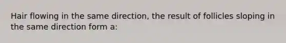 Hair flowing in the same direction, the result of follicles sloping in the same direction form a: