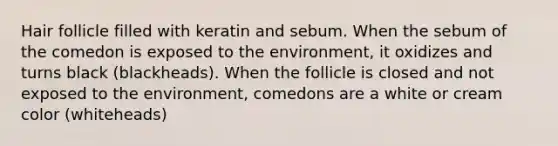 Hair follicle filled with keratin and sebum. When the sebum of the comedon is exposed to the environment, it oxidizes and turns black (blackheads). When the follicle is closed and not exposed to the environment, comedons are a white or cream color (whiteheads)