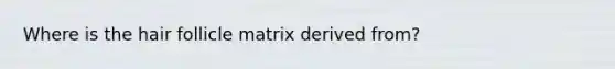 Where is the hair follicle matrix derived from?