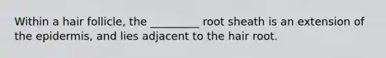 Within a hair follicle, the _________ root sheath is an extension of <a href='https://www.questionai.com/knowledge/kBFgQMpq6s-the-epidermis' class='anchor-knowledge'>the epidermis</a>, and lies adjacent to the hair root.