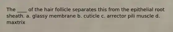 The ____ of the hair follicle separates this from the epithelial root sheath. a. glassy membrane b. cuticle c. arrector pili muscle d. maxtrix