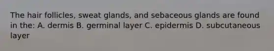 The hair follicles, sweat glands, and sebaceous glands are found in the: A. dermis B. germinal layer C. epidermis D. subcutaneous layer