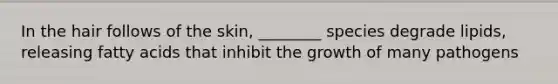 In the hair follows of the skin, ________ species degrade lipids, releasing fatty acids that inhibit the growth of many pathogens