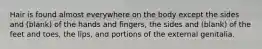 Hair is found almost everywhere on the body except the sides and (blank) of the hands and fingers, the sides and (blank) of the feet and toes, the lips, and portions of the external genitalia.