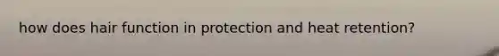 how does hair function in protection and heat retention?