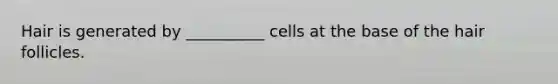 Hair is generated by __________ cells at the base of the hair follicles.