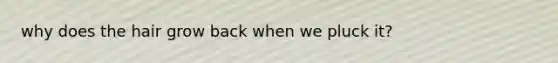 why does the hair grow back when we pluck it?