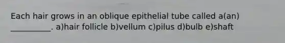 Each hair grows in an oblique epithelial tube called a(an) __________. a)hair follicle b)vellum c)pilus d)bulb e)shaft