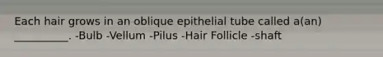 Each hair grows in an oblique epithelial tube called a(an) __________. -Bulb -Vellum -Pilus -Hair Follicle -shaft