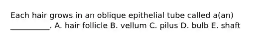 Each hair grows in an oblique epithelial tube called a(an) __________. A. hair follicle B. vellum C. pilus D. bulb E. shaft