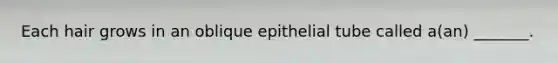 Each hair grows in an oblique epithelial tube called a(an) _______.