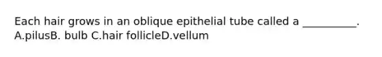 Each hair grows in an oblique epithelial tube called a __________. A.pilusB. bulb C.hair follicleD.vellum