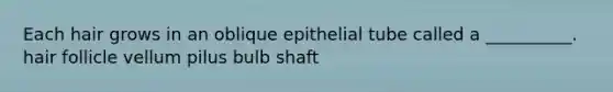 Each hair grows in an oblique epithelial tube called a __________. hair follicle vellum pilus bulb shaft