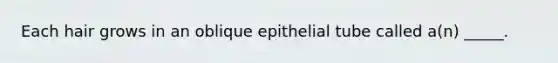 Each hair grows in an oblique epithelial tube called a(n) _____.