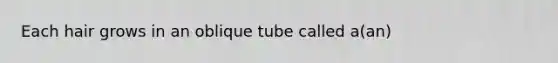 Each hair grows in an oblique tube called a(an)