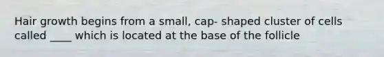 Hair growth begins from a small, cap- shaped cluster of cells called ____ which is located at the base of the follicle