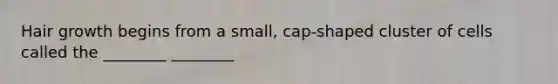 Hair growth begins from a small, cap-shaped cluster of cells called the ________ ________