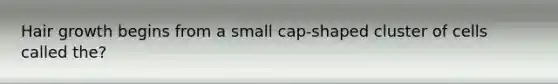 Hair growth begins from a small cap-shaped cluster of cells called the?