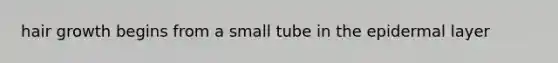 hair growth begins from a small tube in the epidermal layer