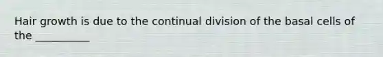 Hair growth is due to the continual division of the basal cells of the __________