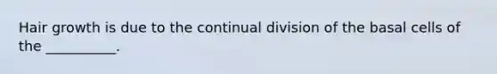 Hair growth is due to the continual division of the basal cells of the __________.