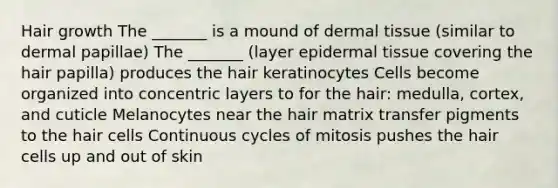 Hair growth The _______ is a mound of dermal tissue (similar to dermal papillae) The _______ (layer epidermal tissue covering the hair papilla) produces the hair keratinocytes Cells become organized into concentric layers to for the hair: medulla, cortex, and cuticle Melanocytes near the hair matrix transfer pigments to the hair cells Continuous cycles of mitosis pushes the hair cells up and out of skin