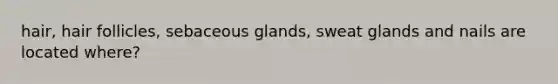 hair, hair follicles, sebaceous glands, sweat glands and nails are located where?