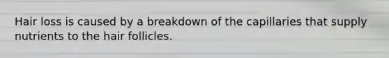 Hair loss is caused by a breakdown of the capillaries that supply nutrients to the hair follicles.