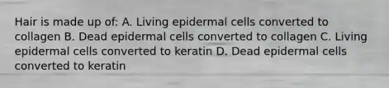 Hair is made up of: A. Living epidermal cells converted to collagen B. Dead epidermal cells converted to collagen C. Living epidermal cells converted to keratin D. Dead epidermal cells converted to keratin