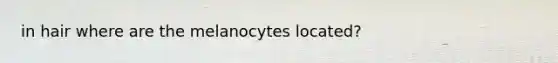 in hair where are the melanocytes located?