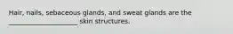 Hair, nails, sebaceous glands, and sweat glands are the _____________________ skin structures.