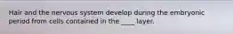Hair and the nervous system develop during the embryonic period from cells contained in the ____ layer.