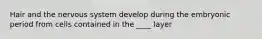 Hair and the nervous system develop during the embryonic period from cells contained in the ____ layer