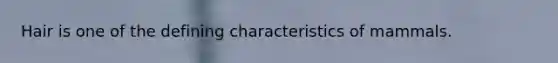 Hair is one of the defining characteristics of mammals.