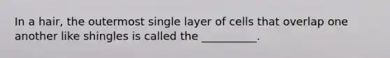 In a hair, the outermost single layer of cells that overlap one another like shingles is called the __________.