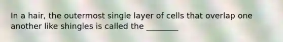 In a hair, the outermost single layer of cells that overlap one another like shingles is called the ________