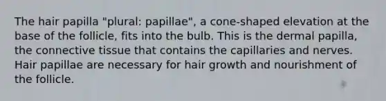 The hair papilla "plural: papillae", a cone-shaped elevation at the base of the follicle, fits into the bulb. This is the dermal papilla, the connective tissue that contains the capillaries and nerves. Hair papillae are necessary for hair growth and nourishment of the follicle.