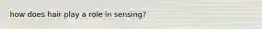 how does hair play a role in sensing?